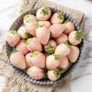 水莓100完全国产免费